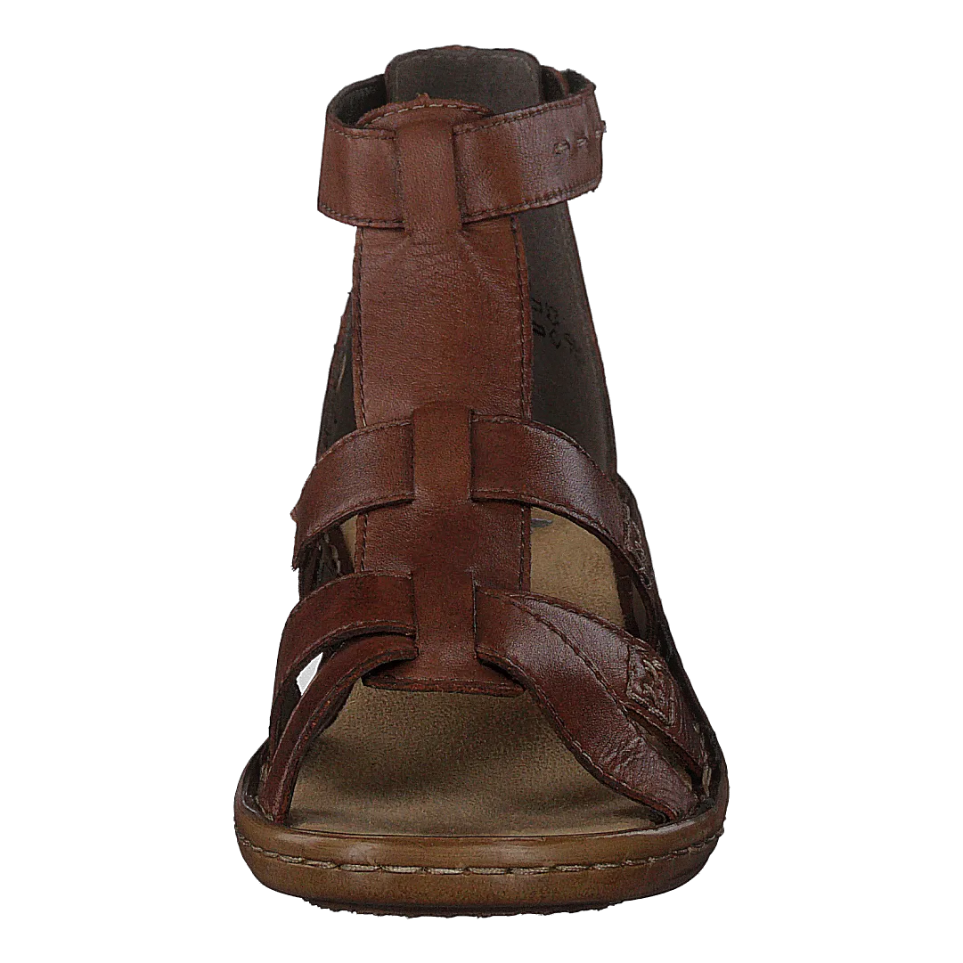 60860 Brown