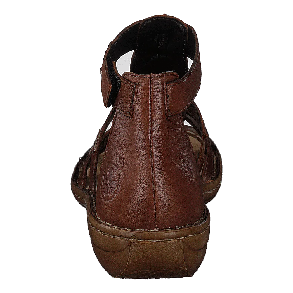 60860 Brown